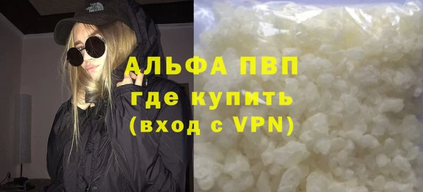 прущие грибы Зерноград