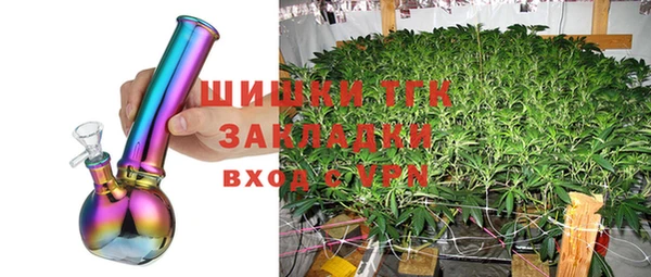 прущие грибы Зерноград